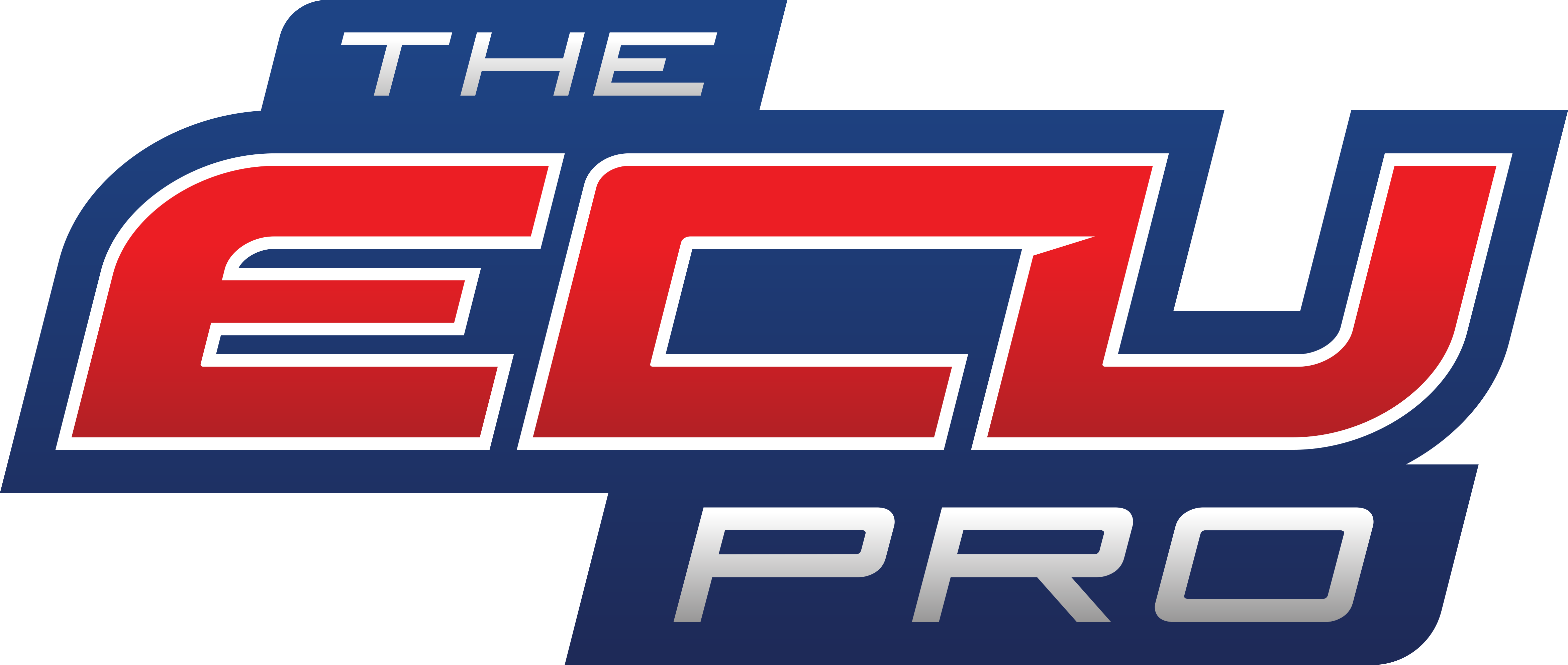 Logo The-ecu-pro
